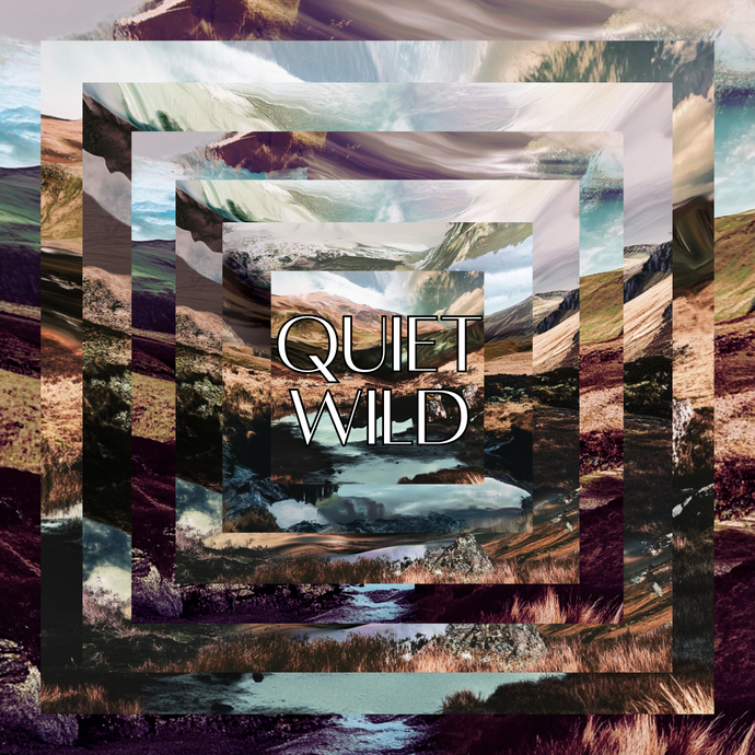Quiet Wild
