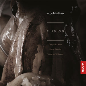 ELISION Ensemble: world-line