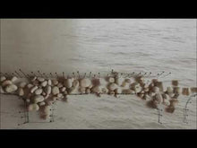 Load and play video in Gallery viewer, Claudia Molitor: The Singing Bridge
